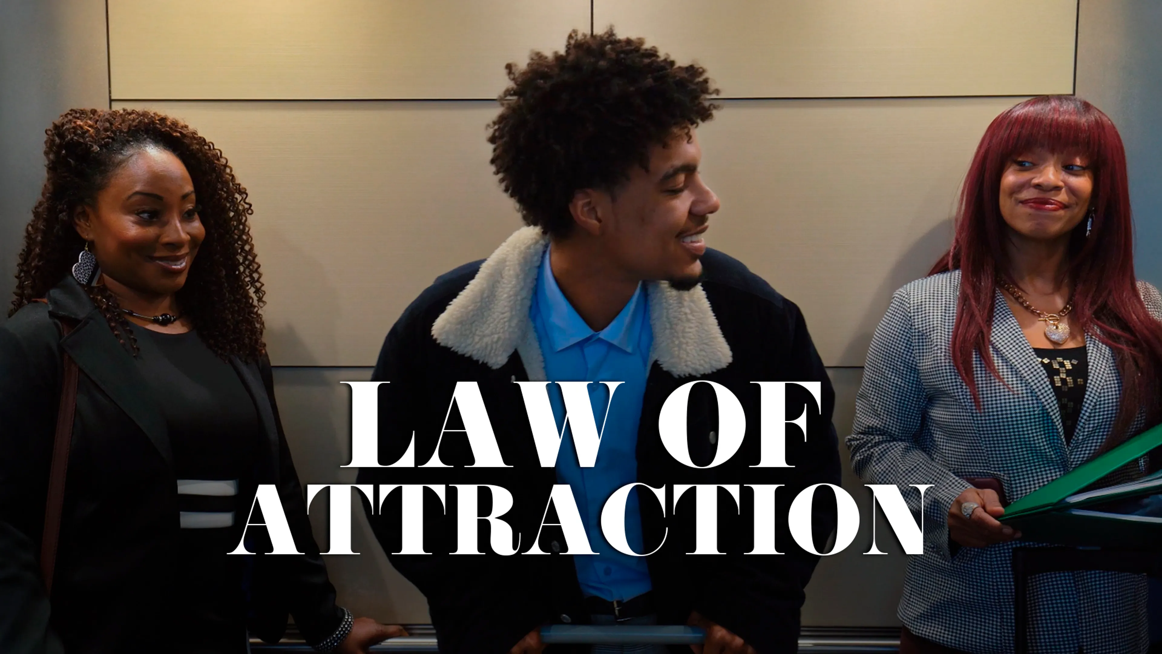 Law of Attraction poster